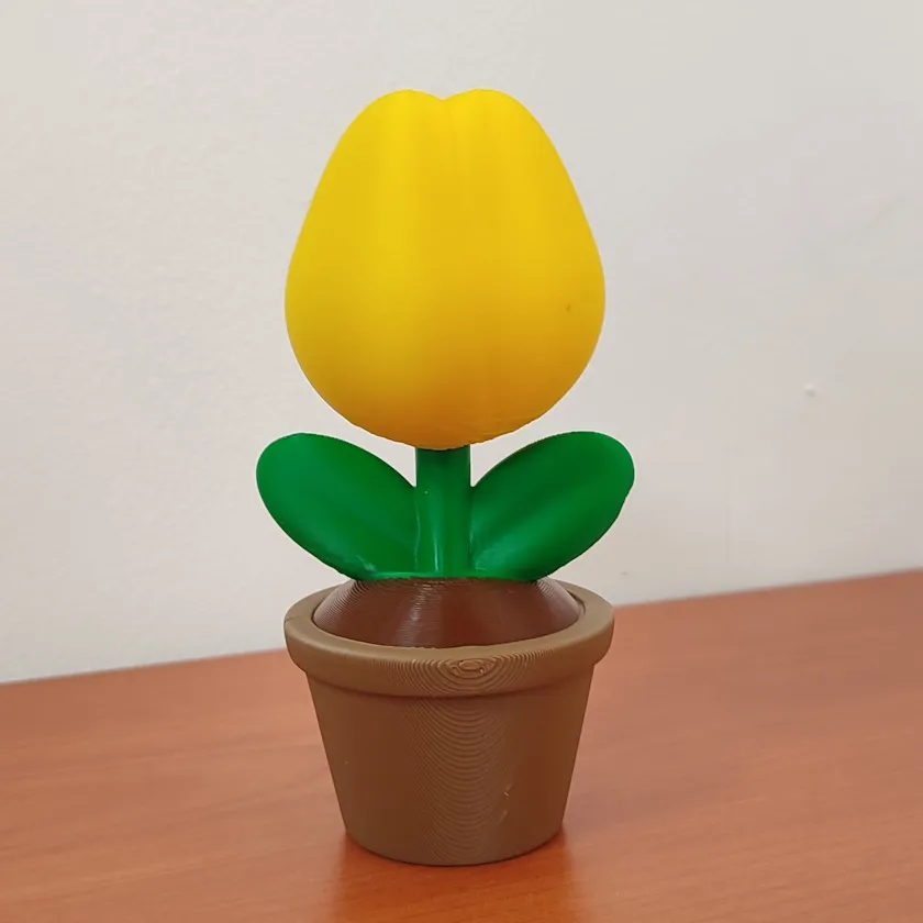 Tulipan en Maceta - 12 cm