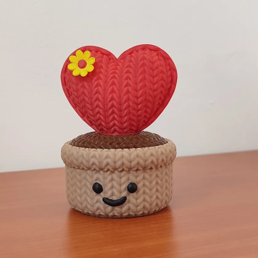 Planta Corazon - 10 cm