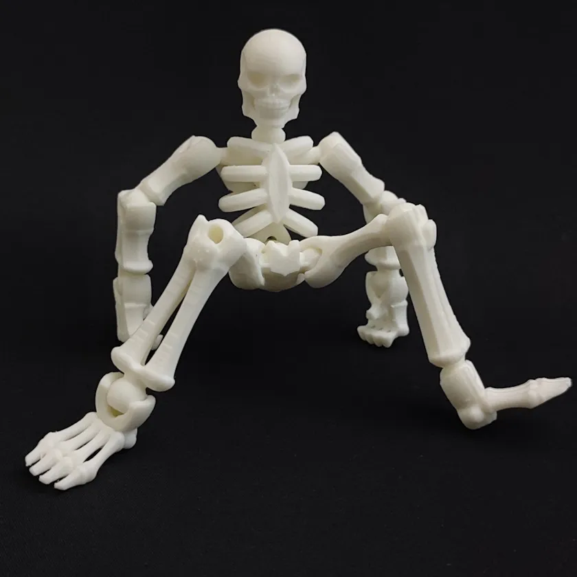 Esqueleto en partes - 18 cm