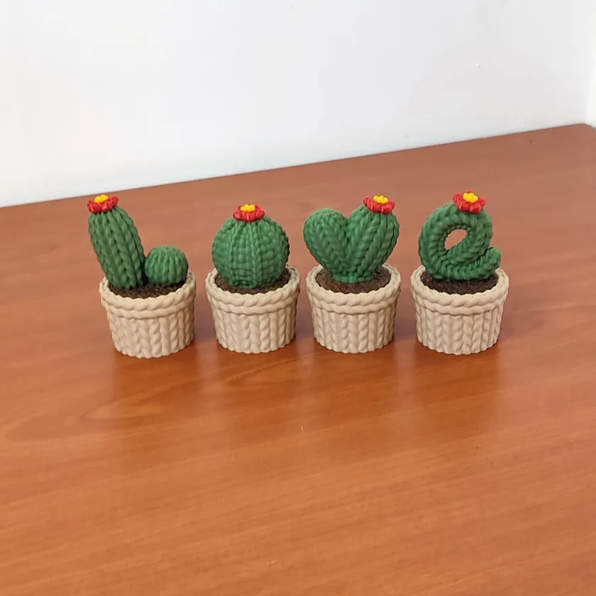 Set Cactus Love - 18 cm