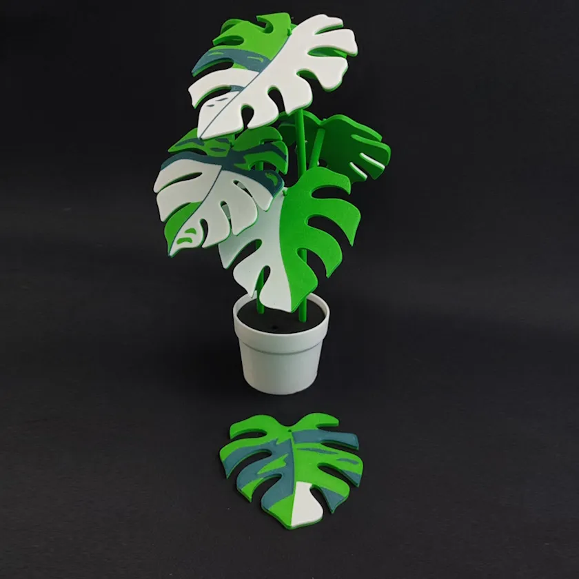 Monstera Porta Vasos (Variegada) - 25 cm