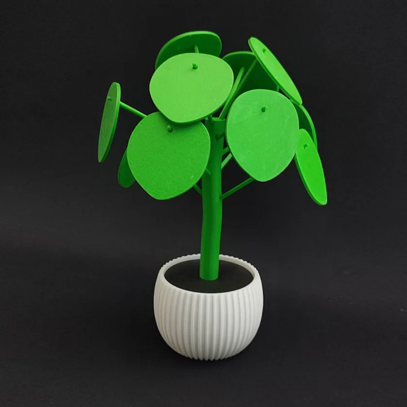 Planta Pilea - 8 cm
