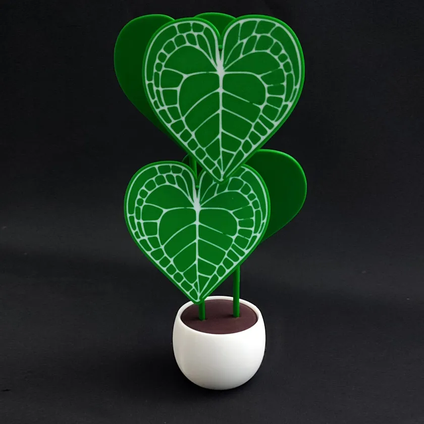 Anturio Clarinerivum Maceta - 28 cm