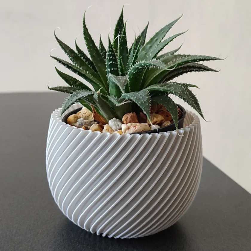 Modern Spiral Planter 6CM Alto x 3in - 8 cm