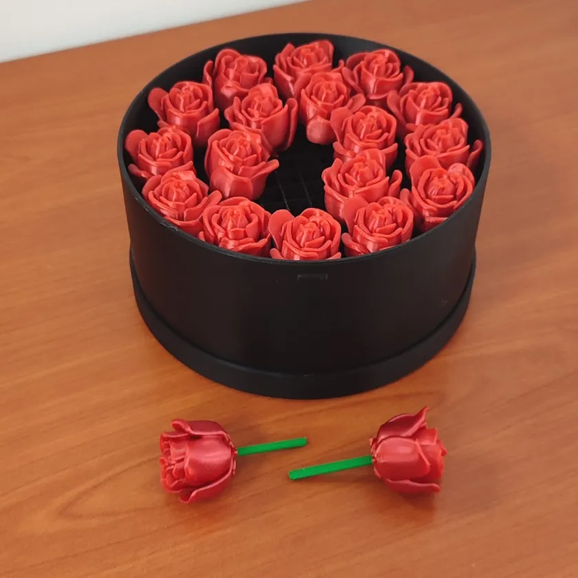 Caja de Rosas [Inc. 19 Rosas] - 11 cm