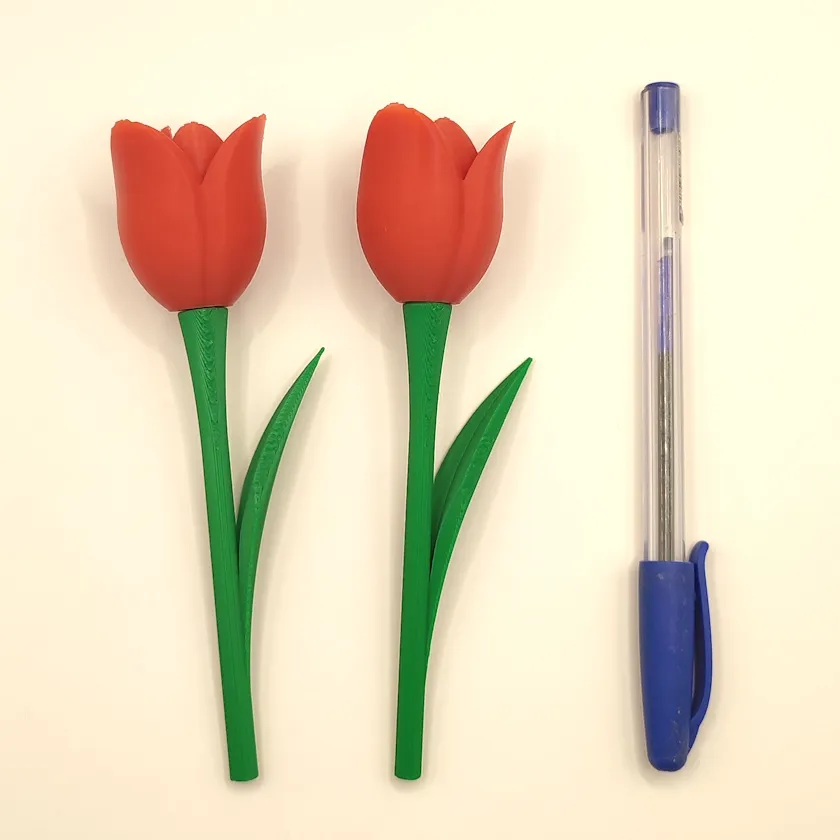 Tulipan Mini - 14 cm